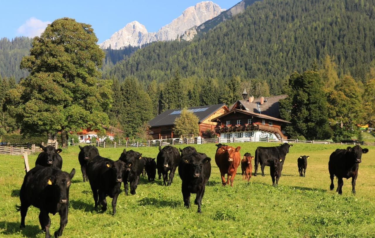 Hotel Laerchenhof Ramsau am Dachstein Buitenkant foto